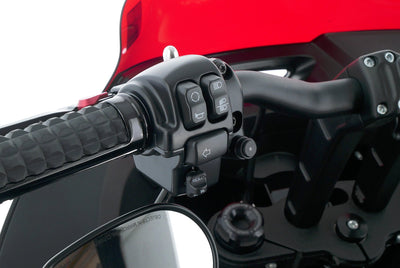 HARLEY DAVIDSON LOW RIDER ST 117