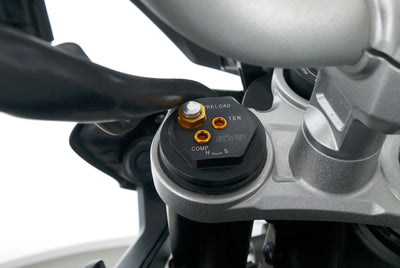 YAMAHA MT 10
