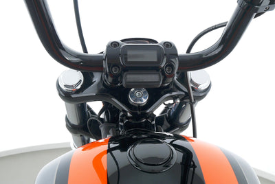 HARLEY DAVIDSON SOFTAIL BREAKOUT 114 NR.29/100