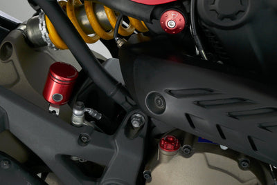 DUCATI MONSTER 821 STRIPE