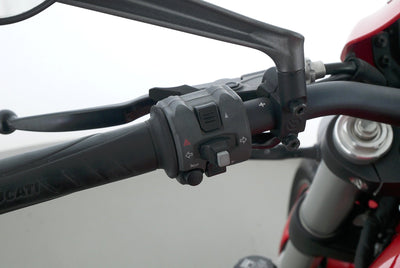DUCATI MONSTER 821 STRIPE
