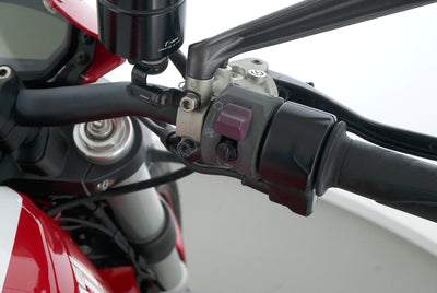 DUCATI MONSTER 821 STRIPE