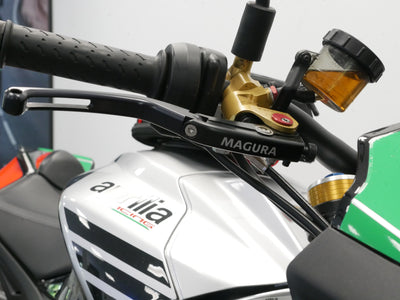 APRILIA TUONO V4 1100 FACTORY
